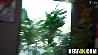 Cory Chase's hardcore harley quinn parody with ace bigs don sudan