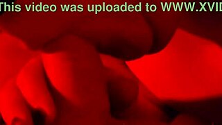 Hot girl slow sexy blowjob up close personal