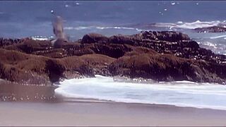 Auroira snow struts her stuff in steamy outdoor milf sex adventure