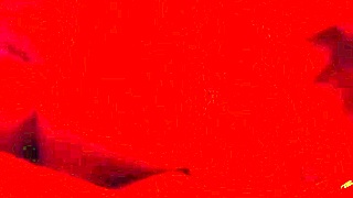 Horny BBW Gags Deep on Hubby's Meat in Close-Up POV Blowjob