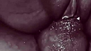 Sexy Ebony Amateur BBC Teases Curves