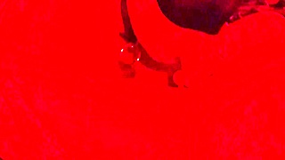 Chubby Blindfolded Sub Milf Deepthroats Cum Swallow Handjob In Homemade BDSM