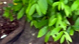 carnaval tree fuck stranger blasts cum down my throat beach block orgy