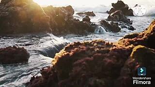 vivi bolt novata carnaval cuzinho anal workout mineira rj