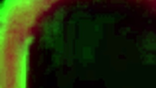 rome majors' bbc perfectly stretches selena lust's tight italian milf ass cheeks