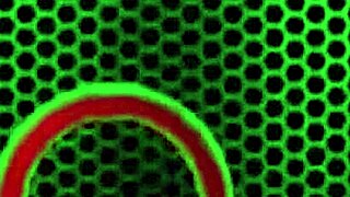 Busty Samantha Rone Masturbates Wet Pussy in Fishnets