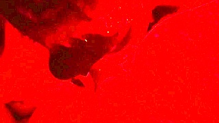 My Wife's EXPERT deepthroat BLOWJOB side view CUM swallowing CLOSE-UP