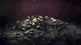 will i fuck these athletic milfs doggy open window adrenaline rush?