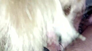 Amateur Blonde Wife's Passionate Deepthroat Suck Ends in Facial Cumshot Bliss