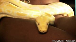 Sexy Erotic Bollywood Lover Teases With Sultry Indian Milf Moves