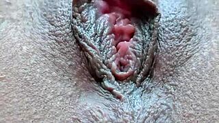 lettywild spreads juicy shaved pussy and tight anus closeup