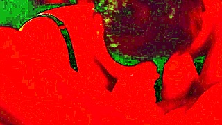 omg i love bbw sub blowjobs cum swallow!