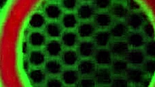 tasha reign melts as sandy fingers her wet cunt in sensual lesbian lick fest