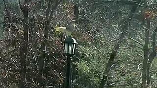 Vacation Vlog Part Three Bikini Milf Action You Crave