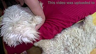 curvy wife deepthroats face fucked on fur rugs with cum play