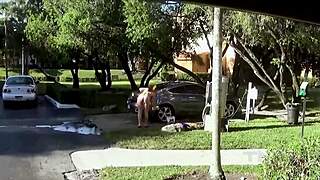 Big Ass Bikini Milf Madisin Lee Fucks Post Car Wash!