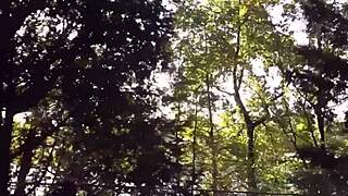 brunette latina wife risks public park sex