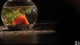 เวโรนิกา ลีอัล ยืดหยุ่นเปียกโดนเลียในฉากซินฟูลร้อนแรง