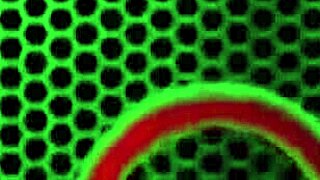 Baştan Çıkarıcı Tasha Reign Soyunma Gösterisinden Sonra Dildo İle Büyük Am Dudaklarını Sikiyor