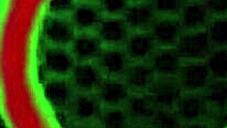 Špinavá Hazel Moore ukazuje obrovské pysky a velké přirozené kozy při tvrdém ježdění