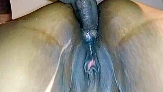 كريبي شرجي مع BBW سوداء في فعل برازيلي منزلي