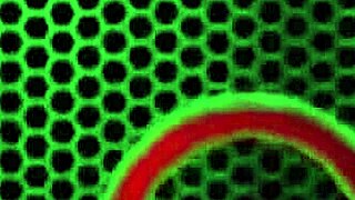 לטינה גבי קינטרוס שולטת בעקומות המדהימות שלה!