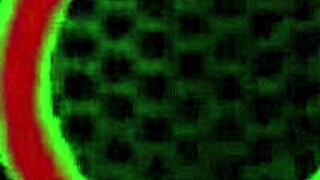 ऑइल्ड कार्मेन वैलेंटिना डिल्डो से अपनी प्रेटी प्लंप पस्सी को चुदाई करती है बिग क्लिट के साथ