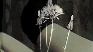 Hej, har du set vintage erotiske stumfilm som mit hemmelige liv?