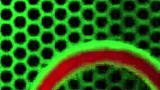 Angelina Castro v červených rybářských sítích dildem svou mokrou kundičku hluboko.