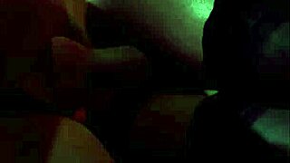 体验这个惊艳的3D成人游戏玩法