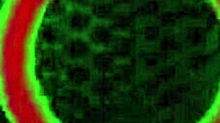 感性的Jane让我彻底疯狂