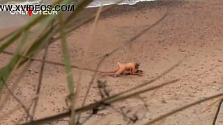 Starejši tip jebe vročo milf na javni plaži