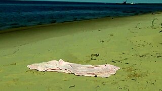 ראית מילף עסיסית כזאת בחוף פאני?