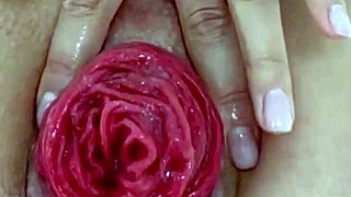 Anal distrus, prolaps suculent în joc close up