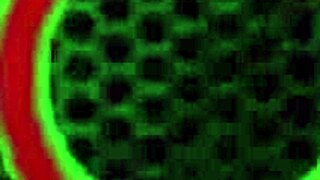 Sexy zralá žena si užívá cowgirl jízdu