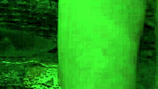 Sofia'nın Sıcak Olgun Webcam Solo Gösterisi