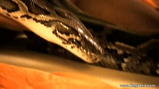 Sogni di ballare in modi erotici che sembrano così sensuali e liberi stanotte?